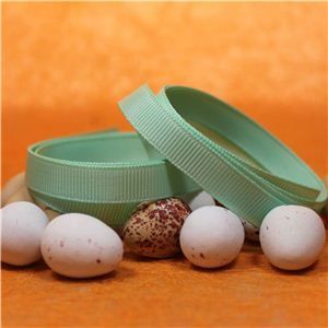Easter Ribbon - Easter Lime